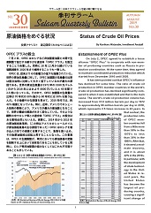 �G���T���[��������30��